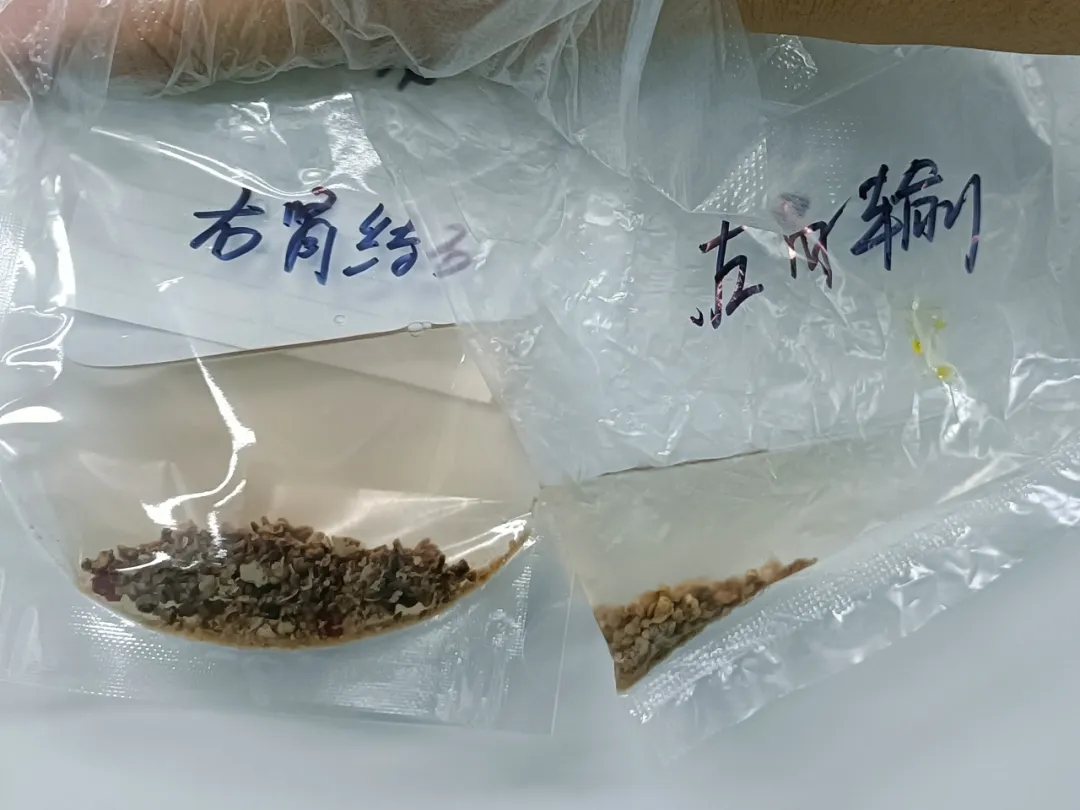 微信图片_20250618160804_副本.jpg