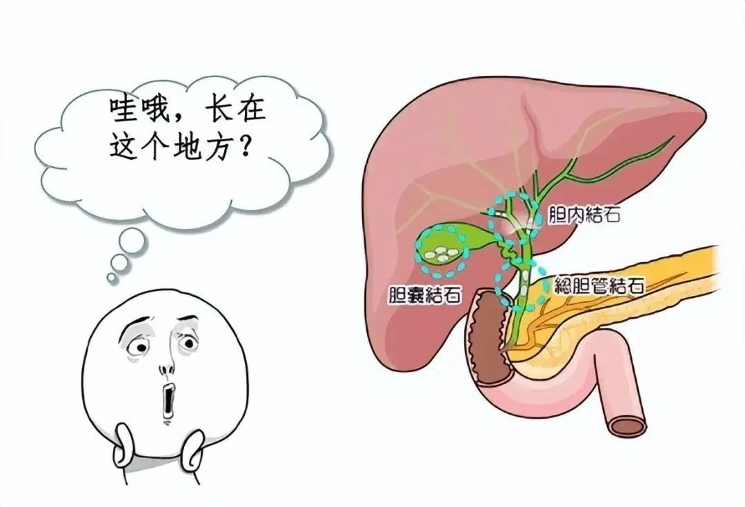 微信图片_2025-08-16_084949_614_副本.jpg